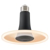 Lampe LED ToLEDo Radiance E27 noire 8 W 650 lm 840