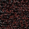 Tapis antipoussière extérieur intérieur Capture brosse polyamide semelle PVC sans phtalate coloris rouge 1mx5m
