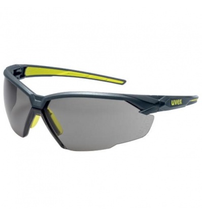 5 paires de lunettes de protection Uvex suXXeed gris solaire supravision excellence