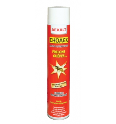Insecticide anti frelons Aexalt CHOAEX 1000 ml