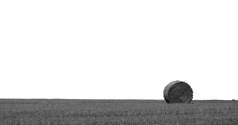 Pourquoi la bâche ensilage est-elle toujours noire ?