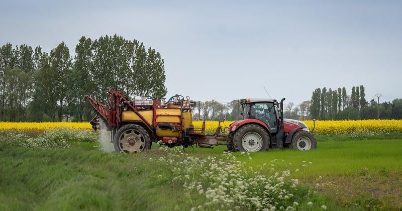 Bâche agricole : le guide complet pour bien la choisir et la poser
